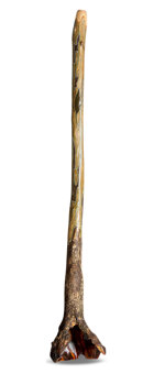 Heartland Didgeridoo (HD533)